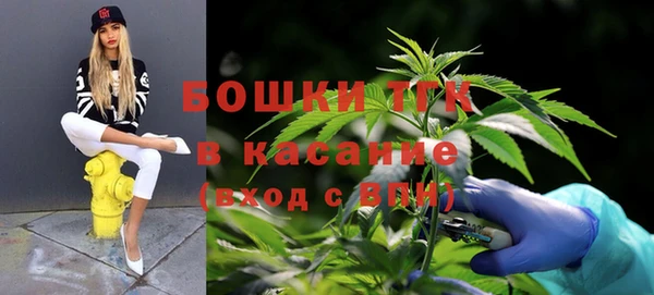 ПСИЛОЦИБИНОВЫЕ ГРИБЫ Нея