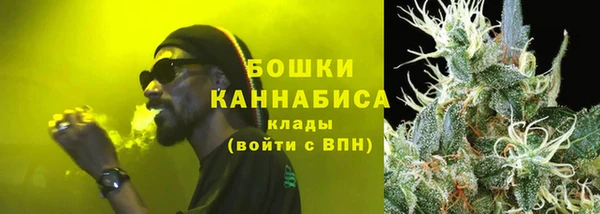 ПСИЛОЦИБИНОВЫЕ ГРИБЫ Нея