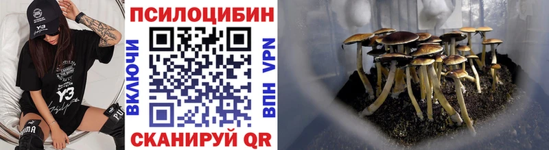 Галлюциногенные грибы прущие грибы  Купить закладки  Невьянск 